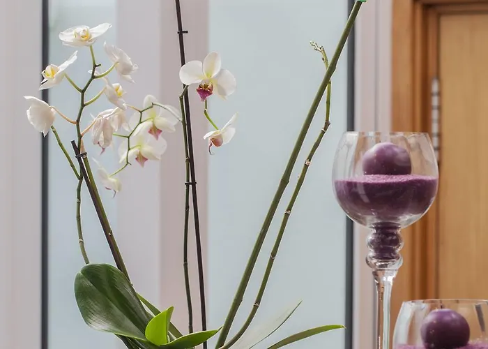 Hotel Costa Nova Hotel