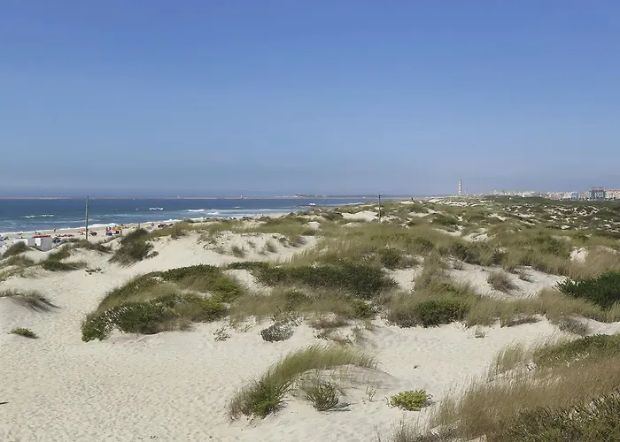 酒店 阿泽维多酒店