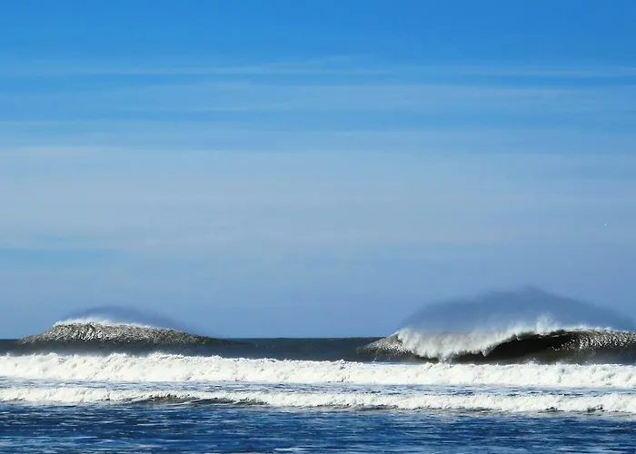 酒店 阿泽维多酒店